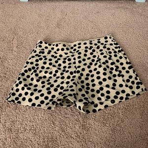 J. Crew Factory Polka Dot Black and Cream Shorts